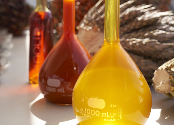 Aceite